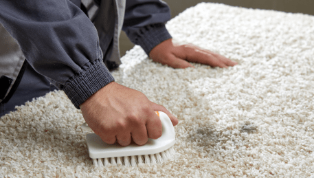Professional Rug Cleaning Tyabb
